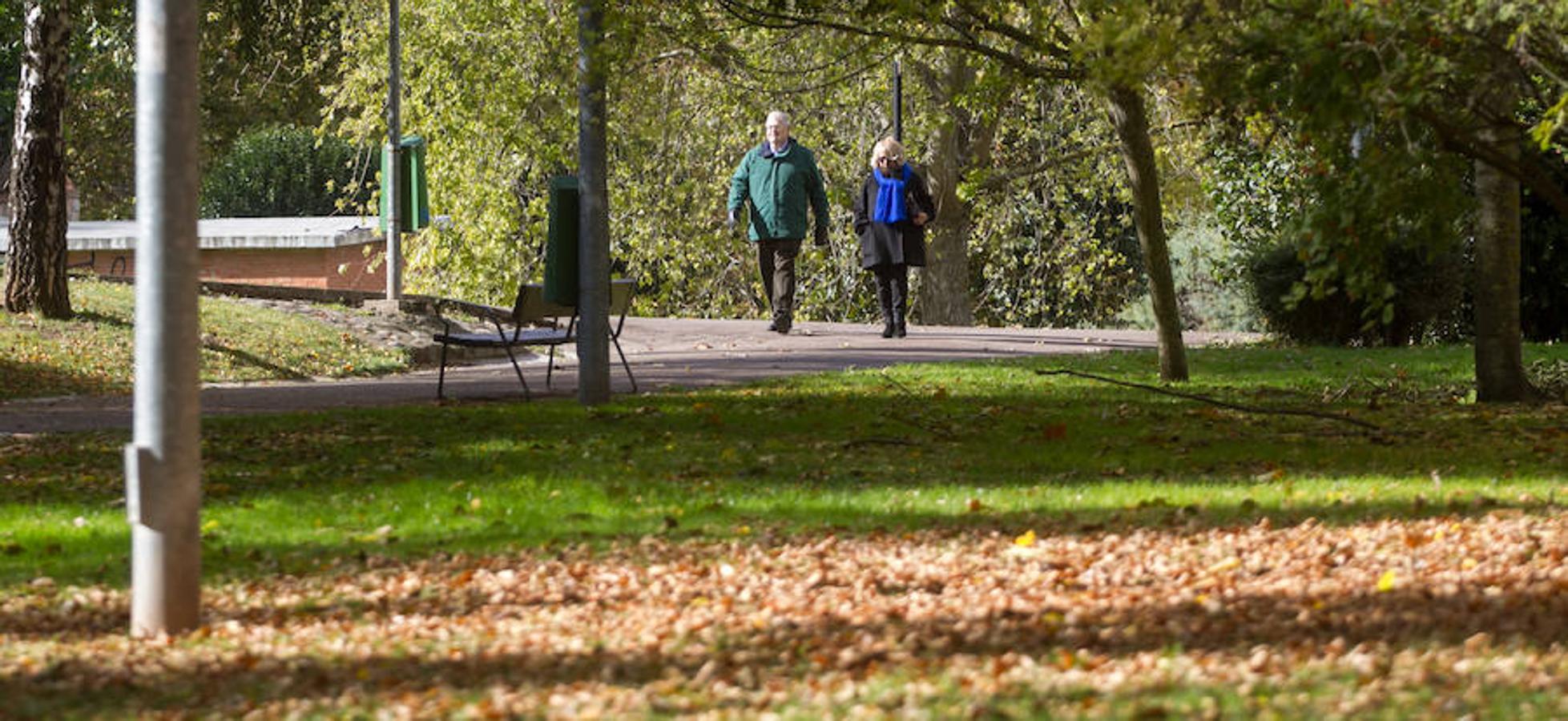 El otoño en Logroño