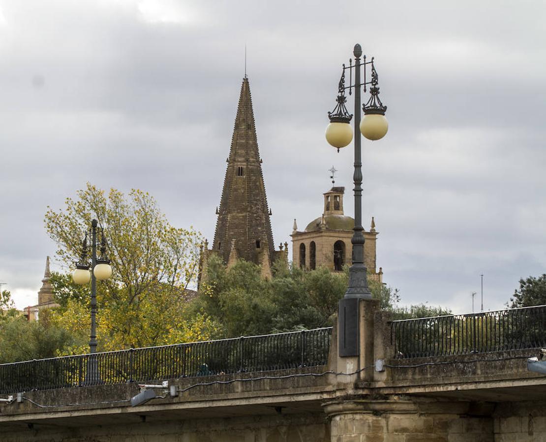 El otoño en Logroño