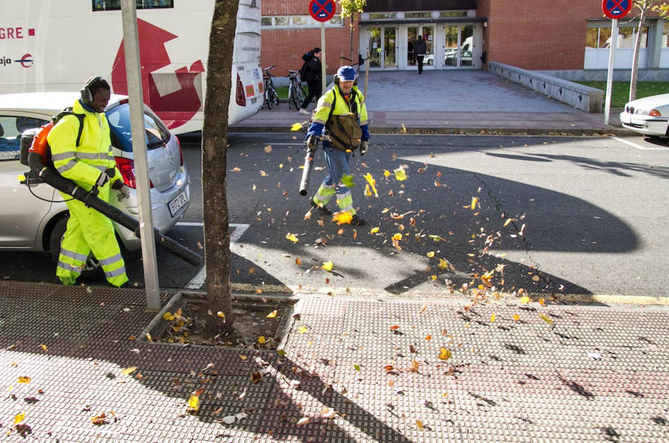 El otoño en Logroño