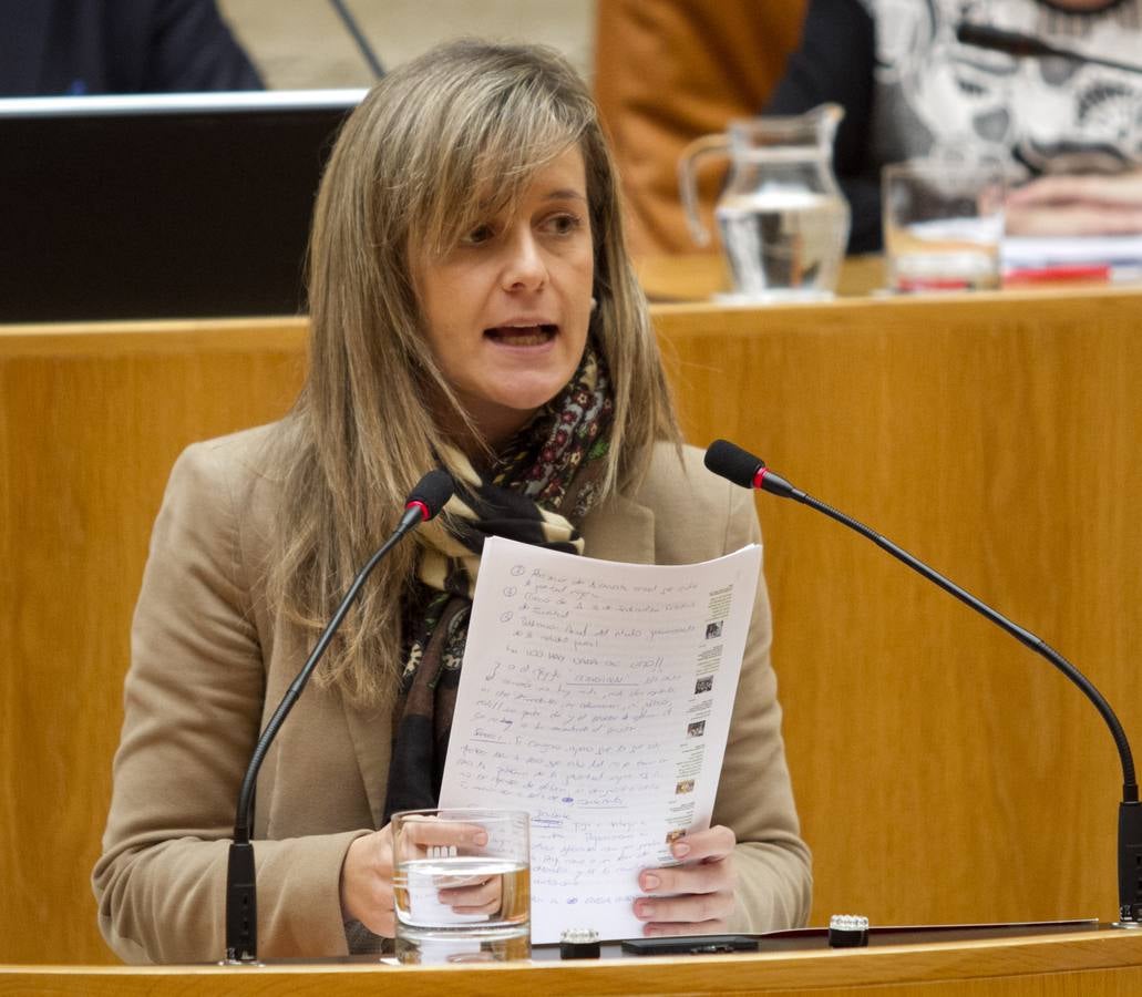 Un día de conversaciones y gestos en el Parlamento riojano