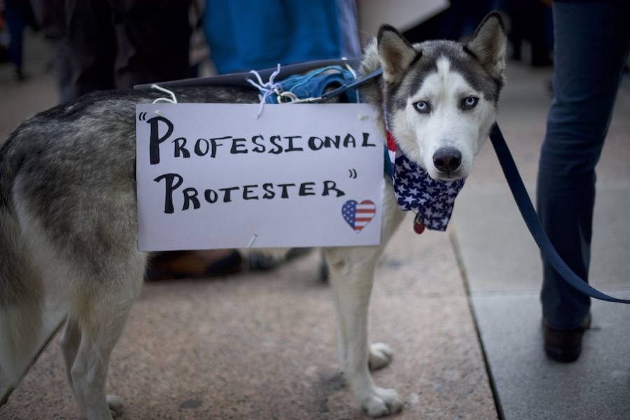 Las protestas contra Trump no cesan