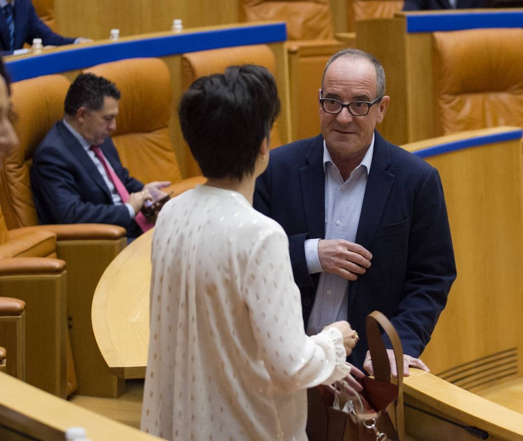 Los gestos del pleno del Parlamento riojano