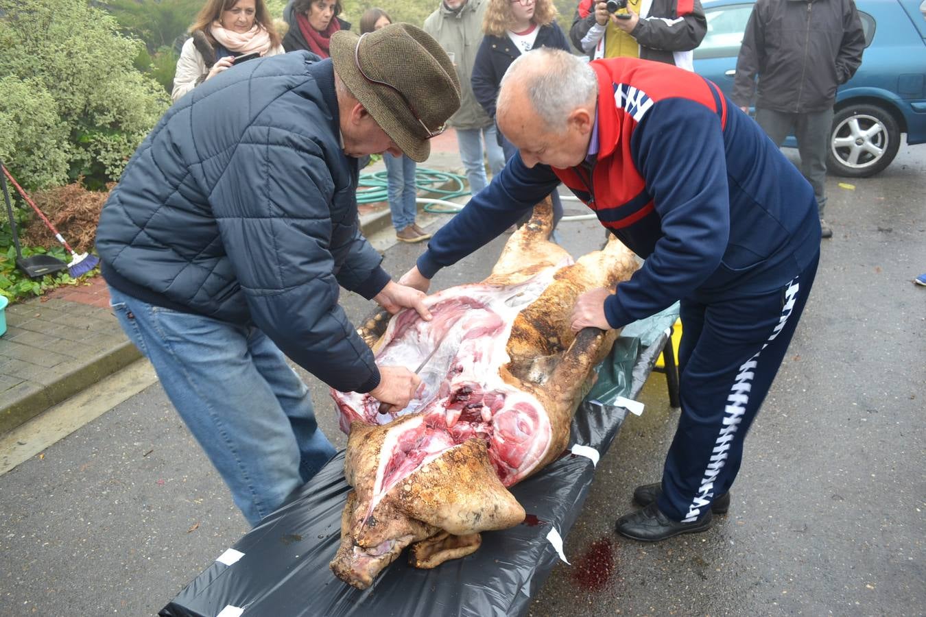 Celebración de la matanza extremeña en Ventosa