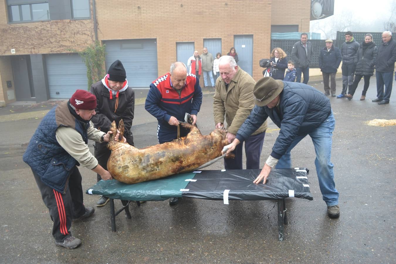 Celebración de la matanza extremeña en Ventosa