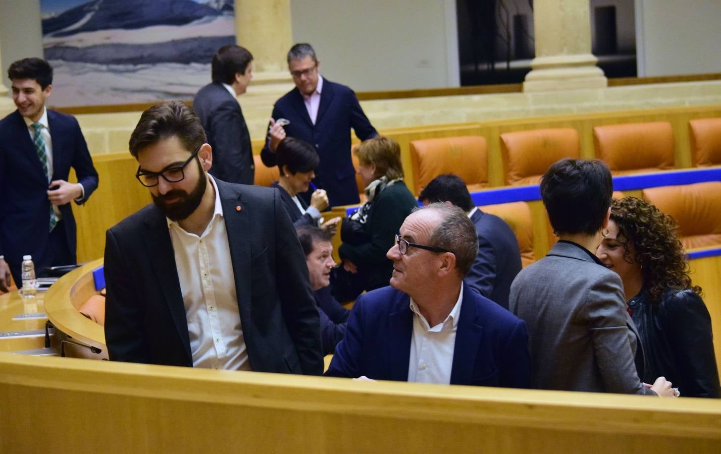 Una mañana en el Pleno del Parlamento riojano