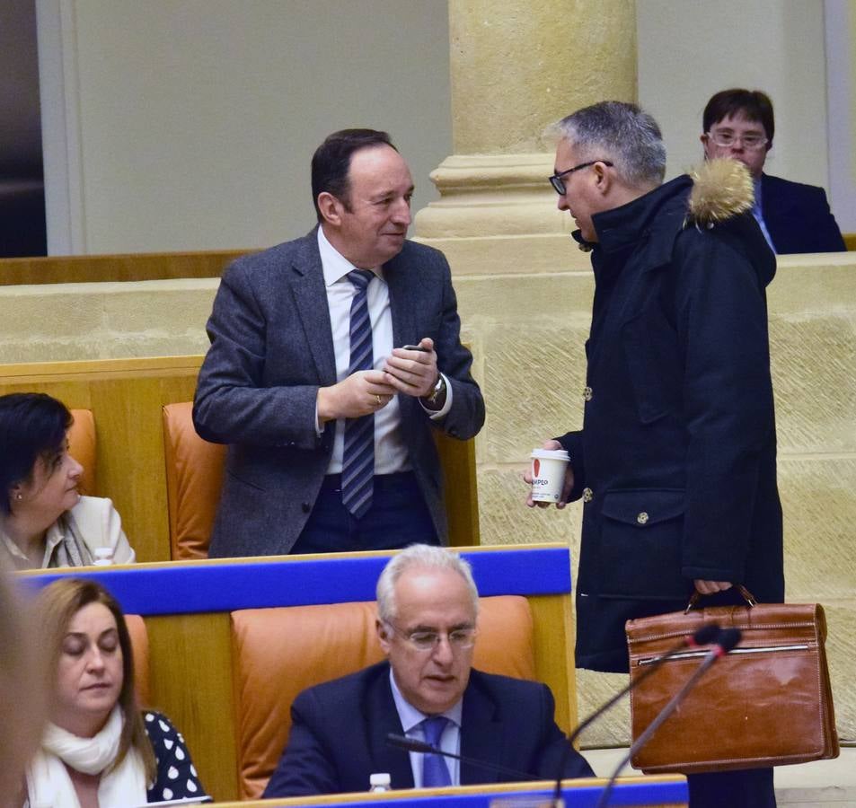 Una mañana en el Pleno del Parlamento riojano