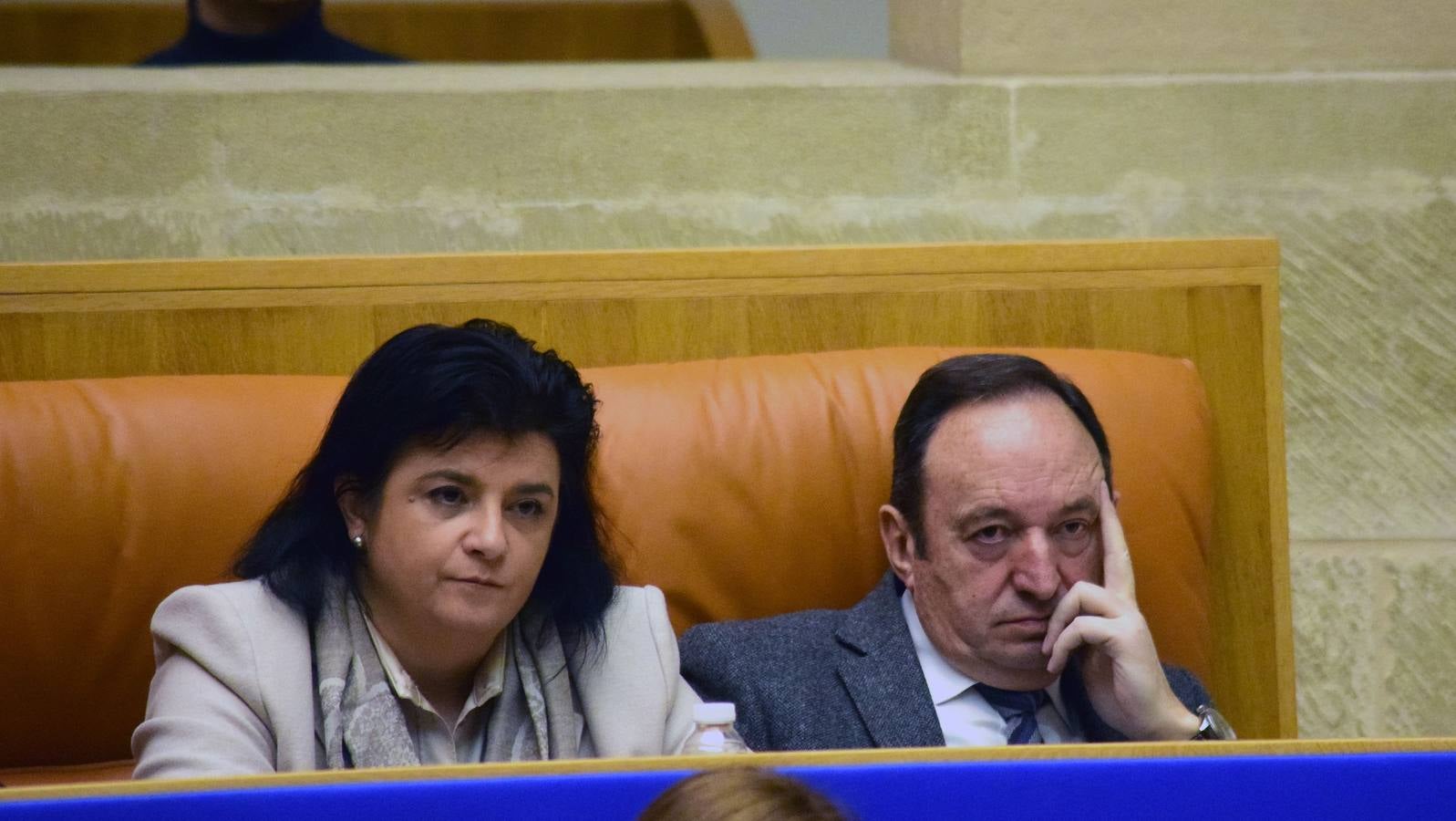 Una mañana en el Pleno del Parlamento riojano