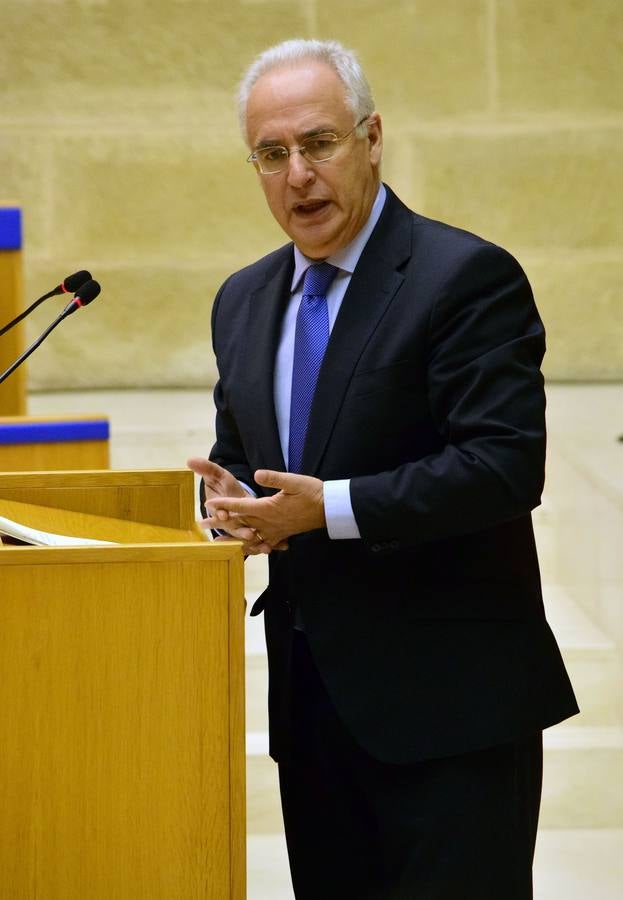 Una mañana en el Pleno del Parlamento riojano