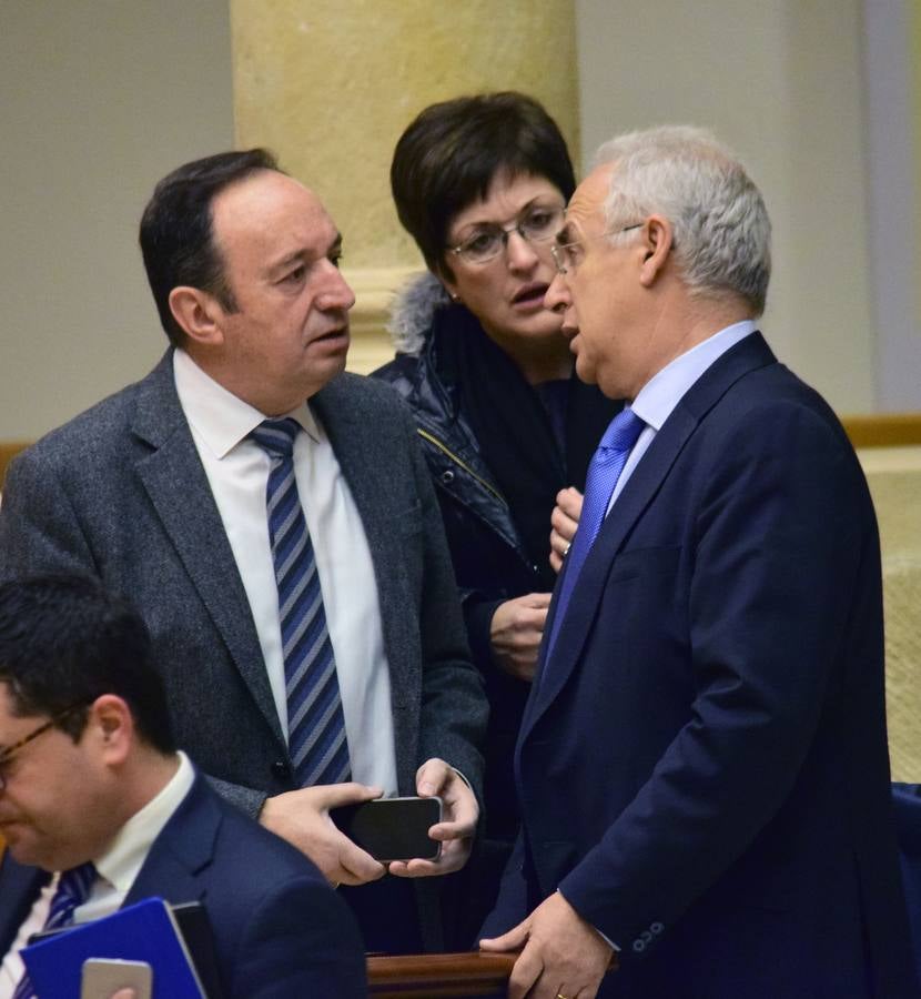 Una mañana en el Pleno del Parlamento riojano