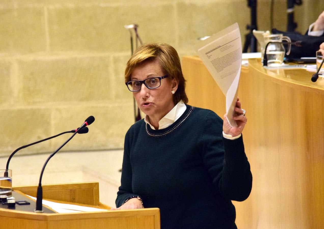 Una mañana en el Pleno del Parlamento riojano