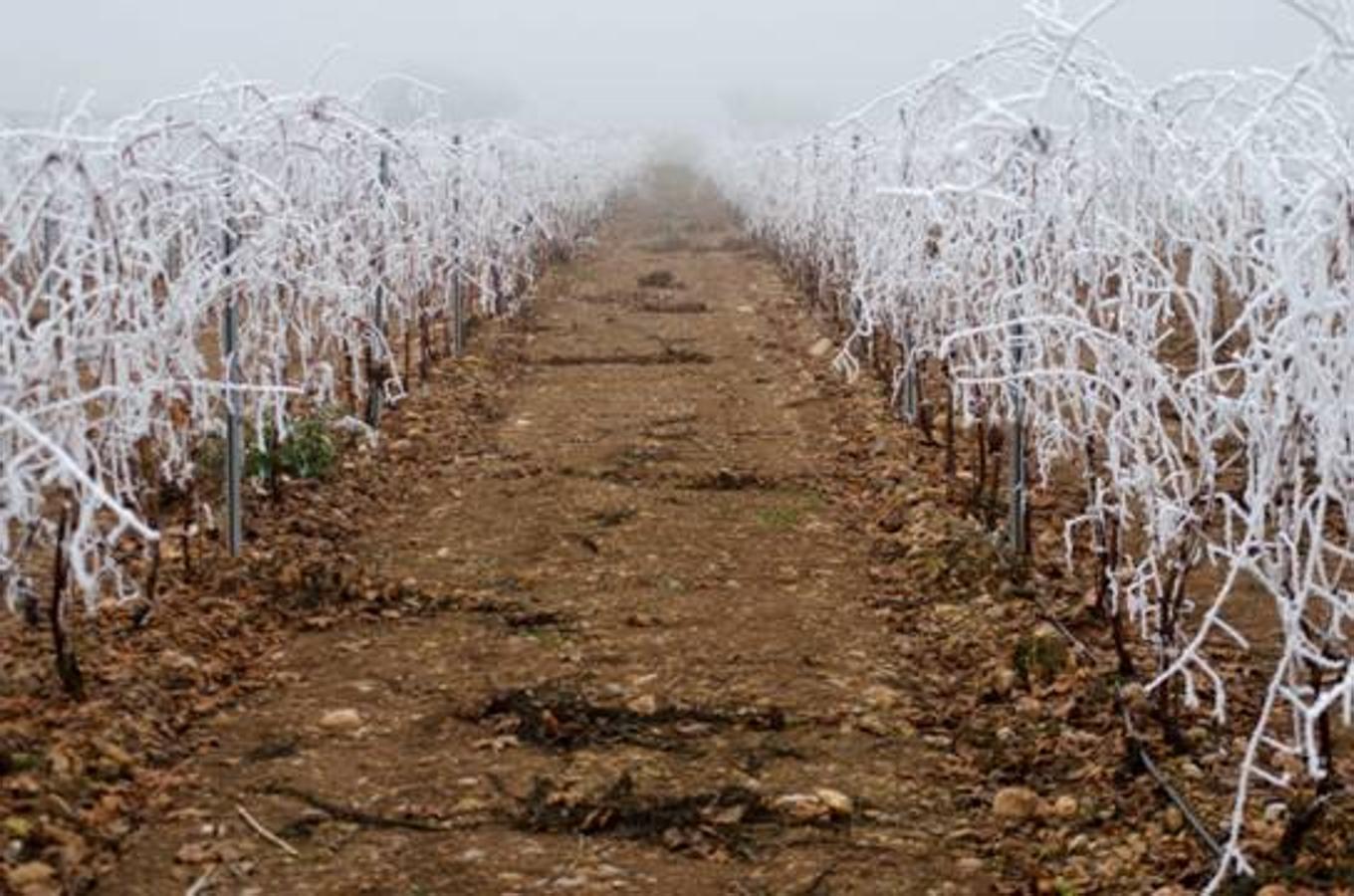 Entre La Unión y Clavijo. 