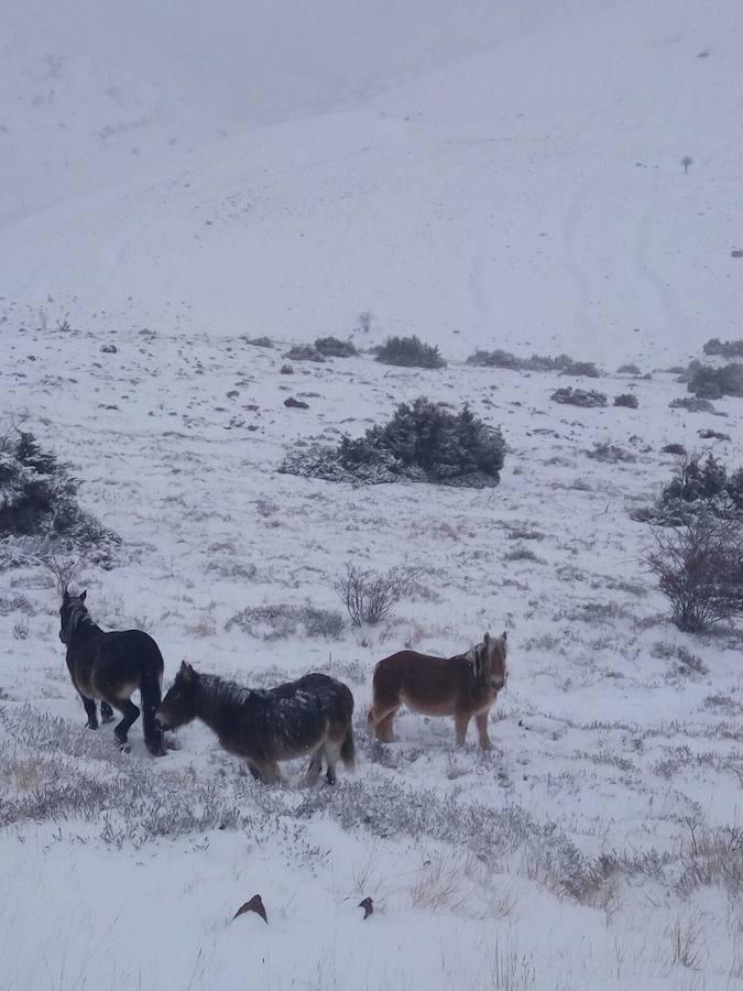 Puerto de Montenegro. 