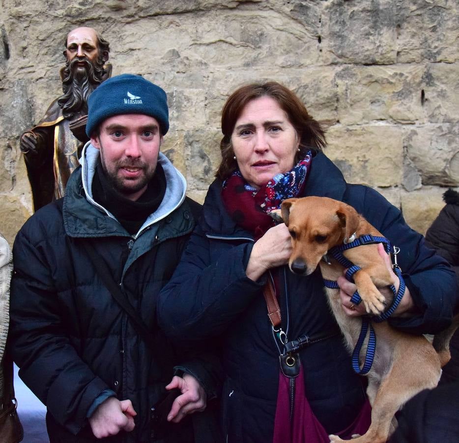 Festividad de San Antón en la Plaza de San Bartolomé de Logroño