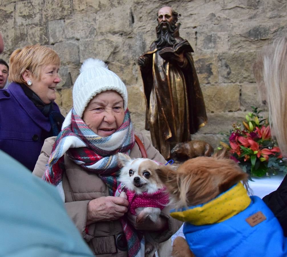 Festividad de San Antón en la Plaza de San Bartolomé de Logroño