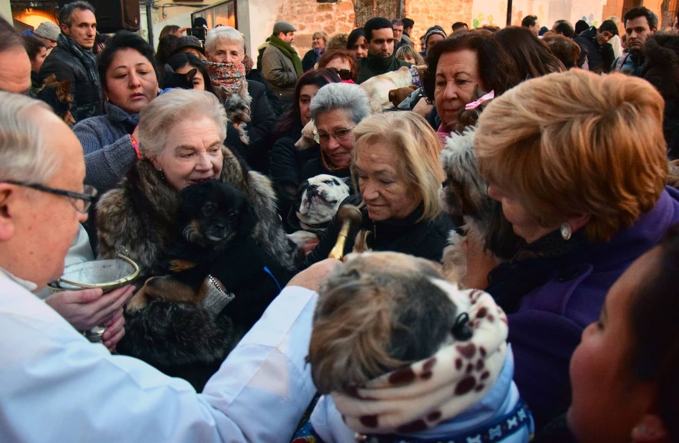 Festividad de San Antón en la Plaza de San Bartolomé de Logroño