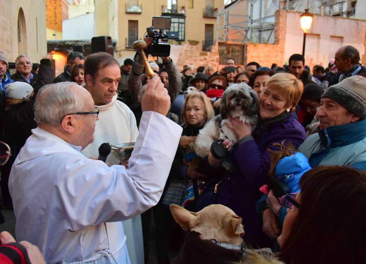 Festividad de San Antón en la Plaza de San Bartolomé de Logroño