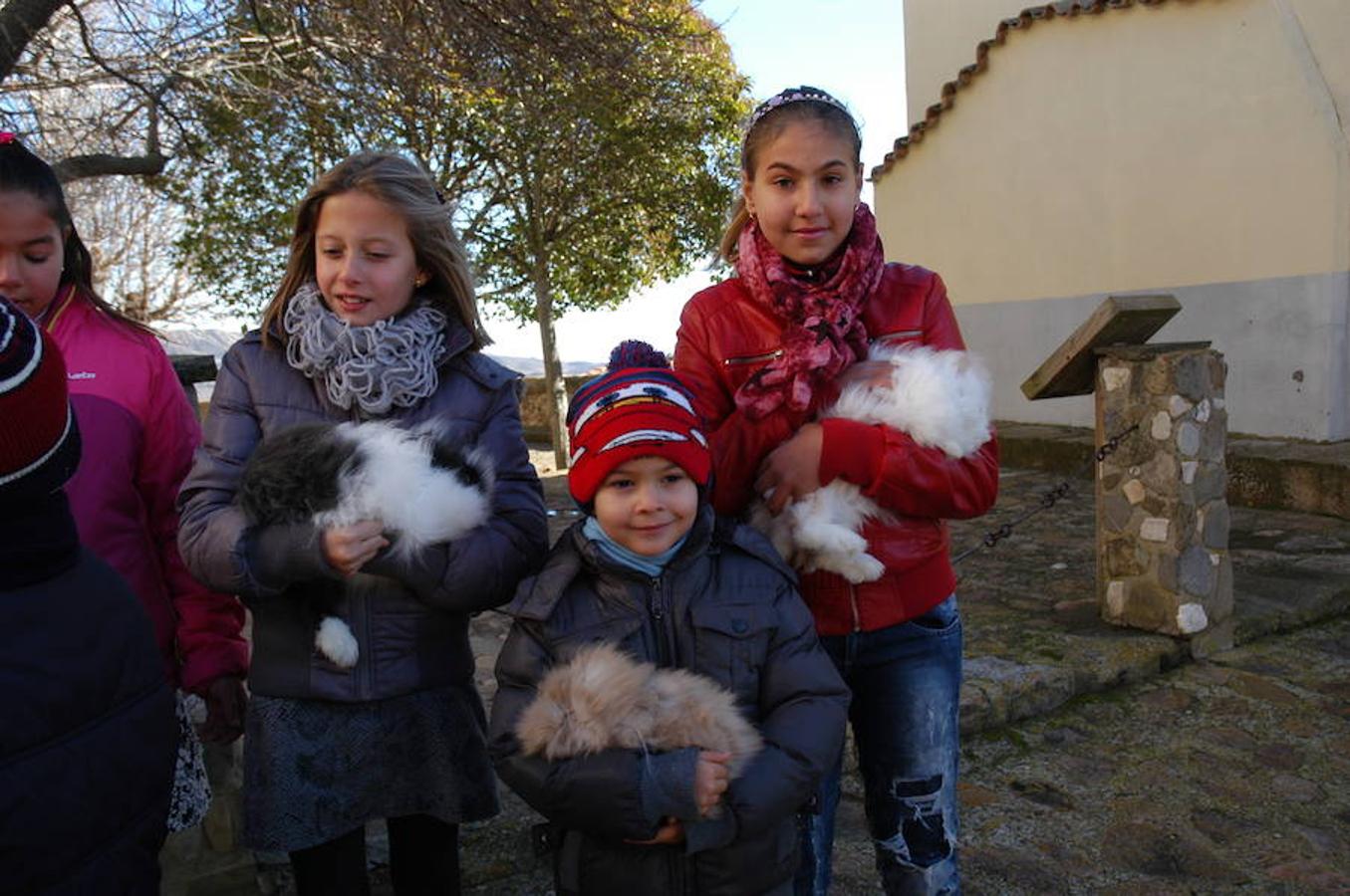 Grávalos festeja San Antón