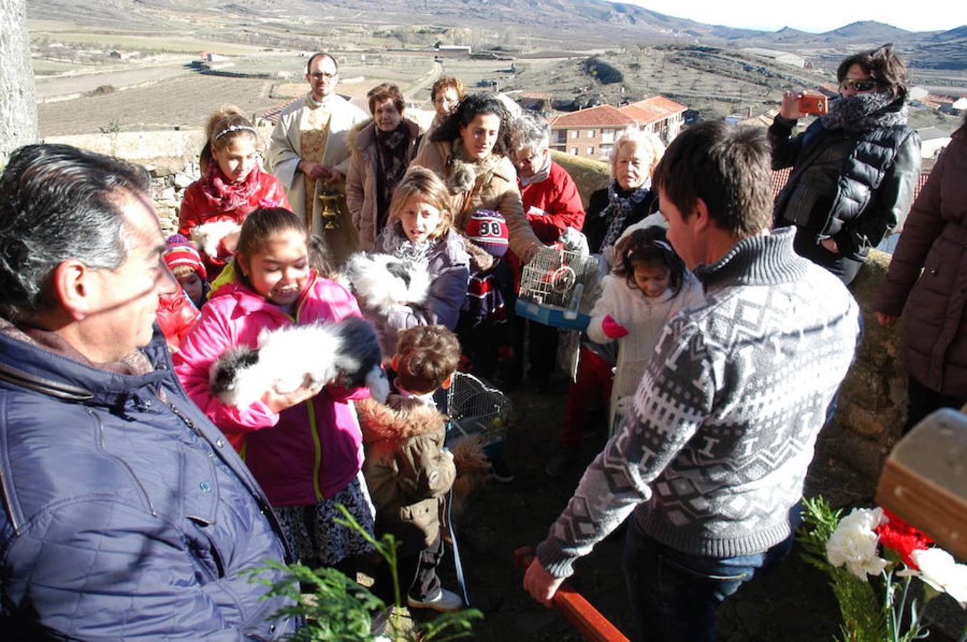 Grávalos festeja San Antón