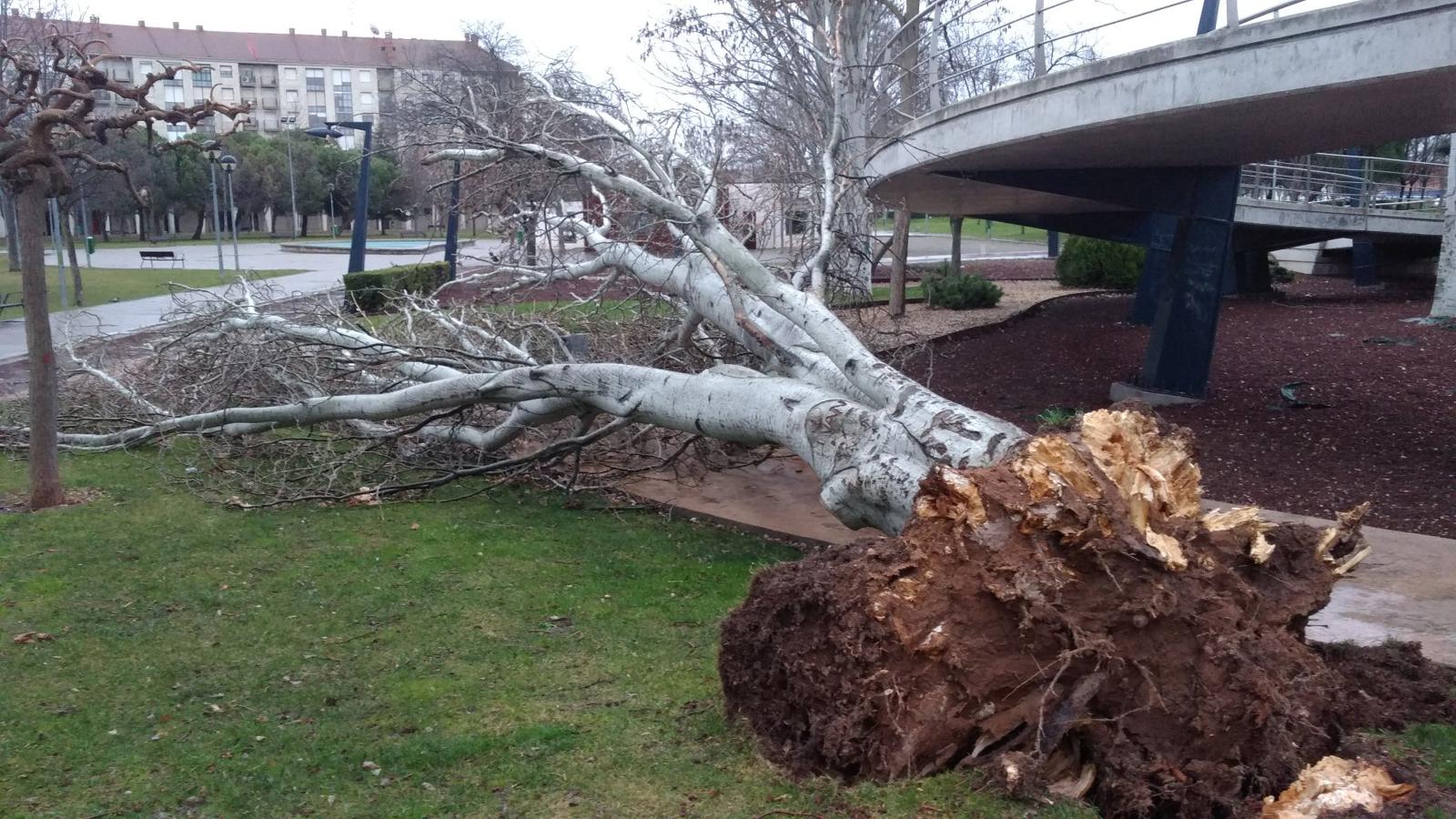 Logroño. 