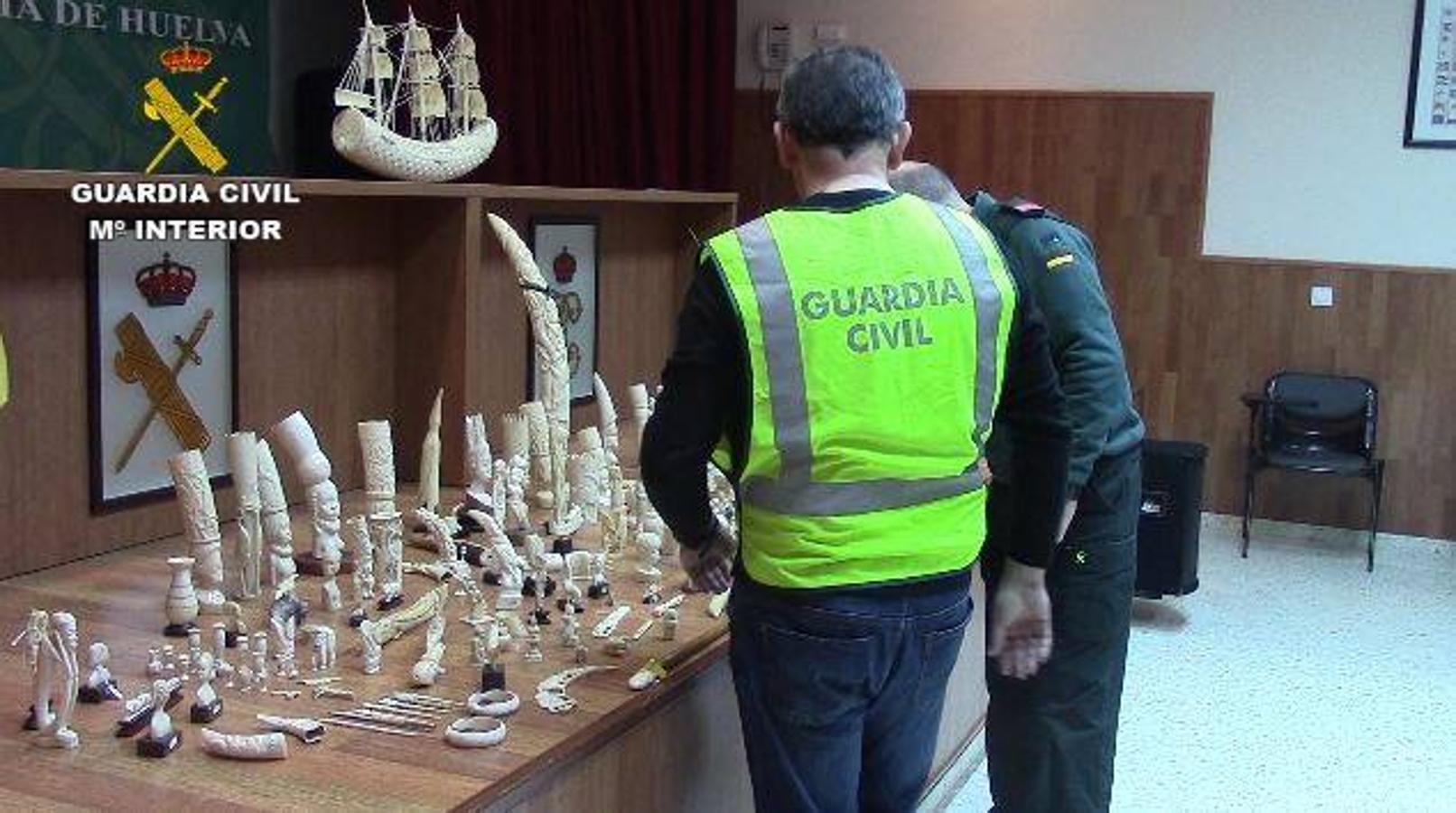 La Guardia Civil investiga a 59 personas por tráfico de especies