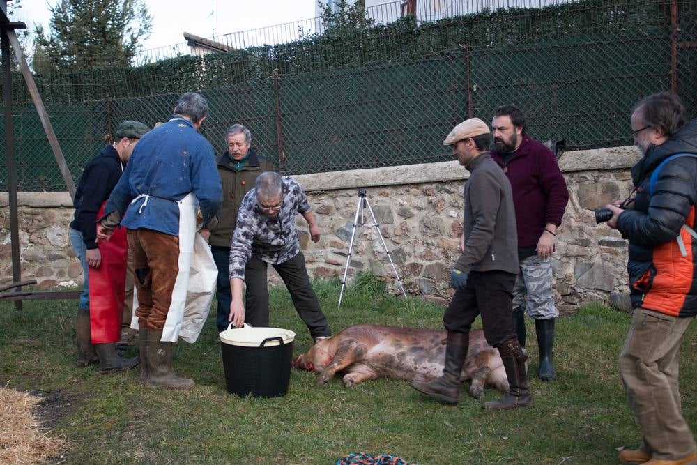 IX Jornadas de la Matanza del Cerdo en Valgañón