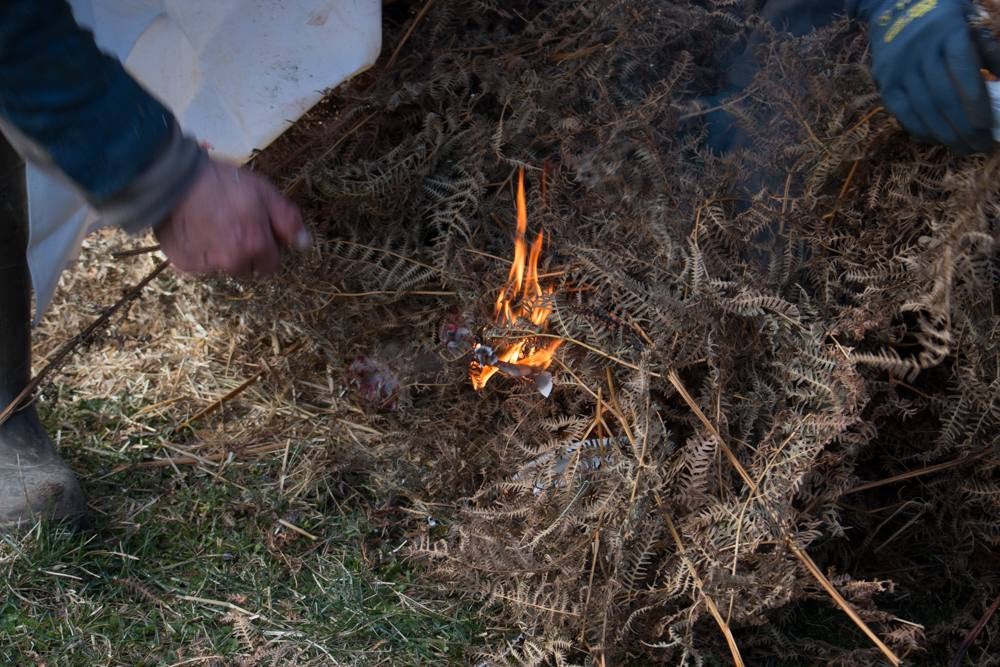 IX Jornadas de la Matanza del Cerdo en Valgañón