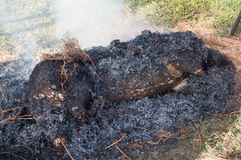 IX Jornadas de la Matanza del Cerdo en Valgañón