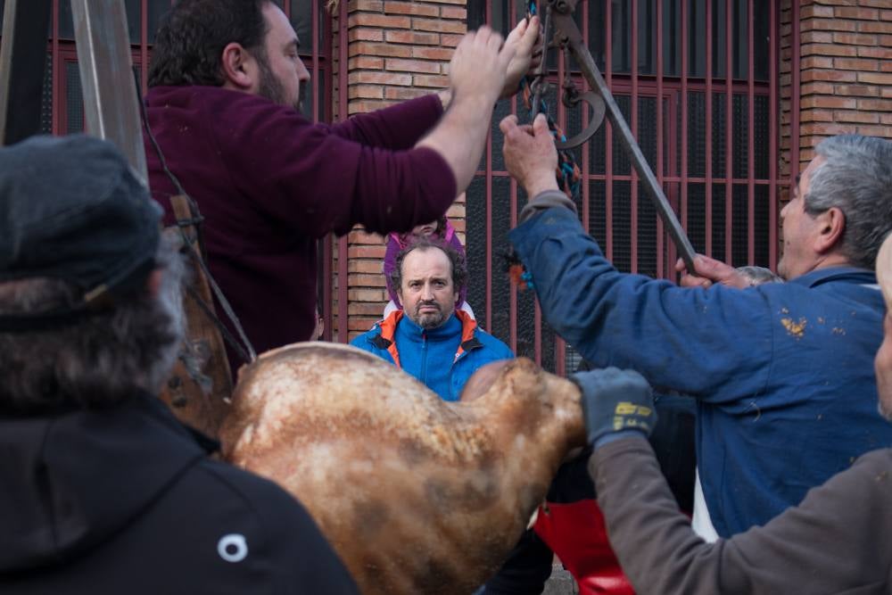 IX Jornadas de la Matanza del Cerdo en Valgañón