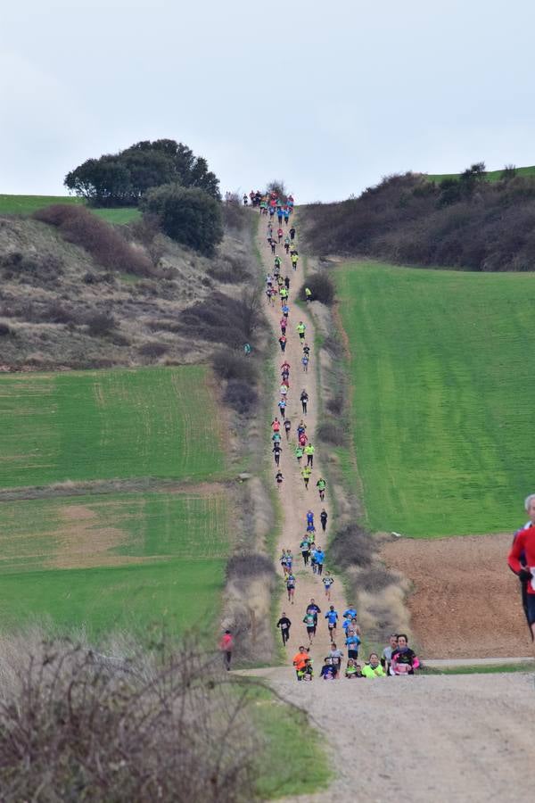 Pablo Mas repite en la Media Maratón del Camino (I)