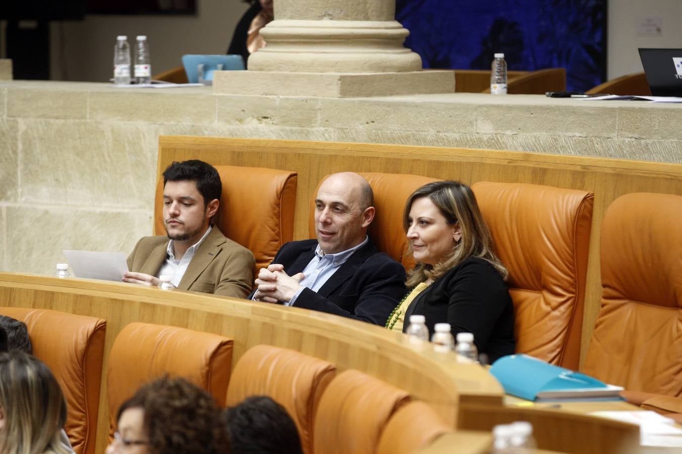 Los gestos y las conversaciones del Pleno del Parlamento riojano