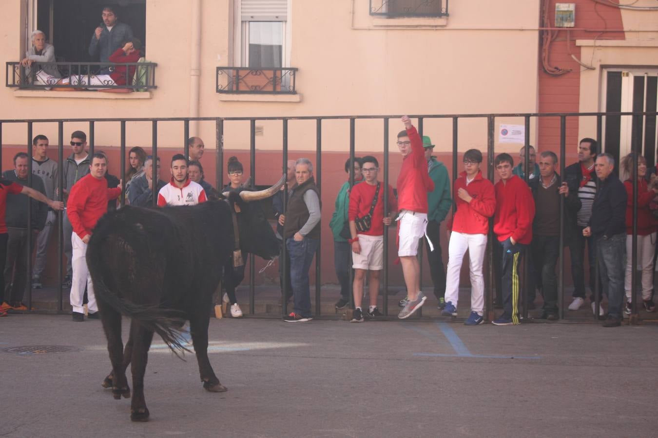 Arnedo disfruta de su segundo día de fiestas