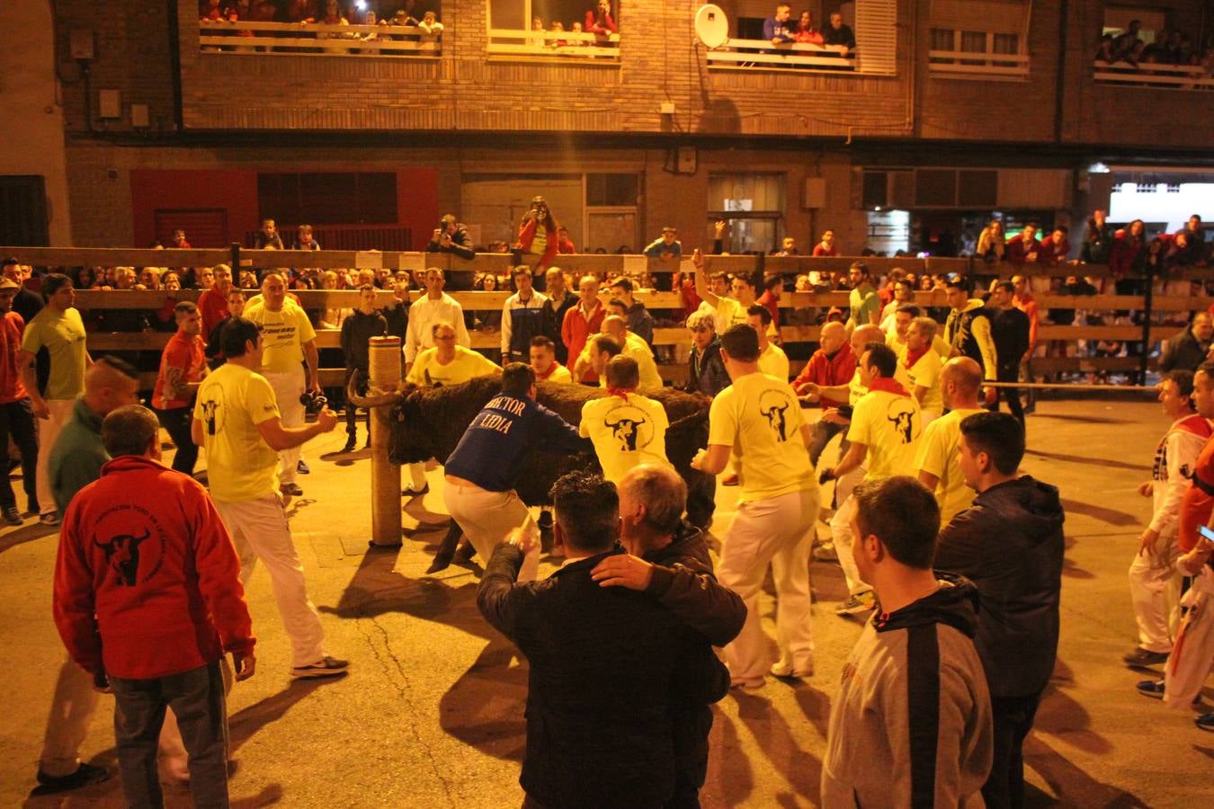 Toro embolao en Arnedo