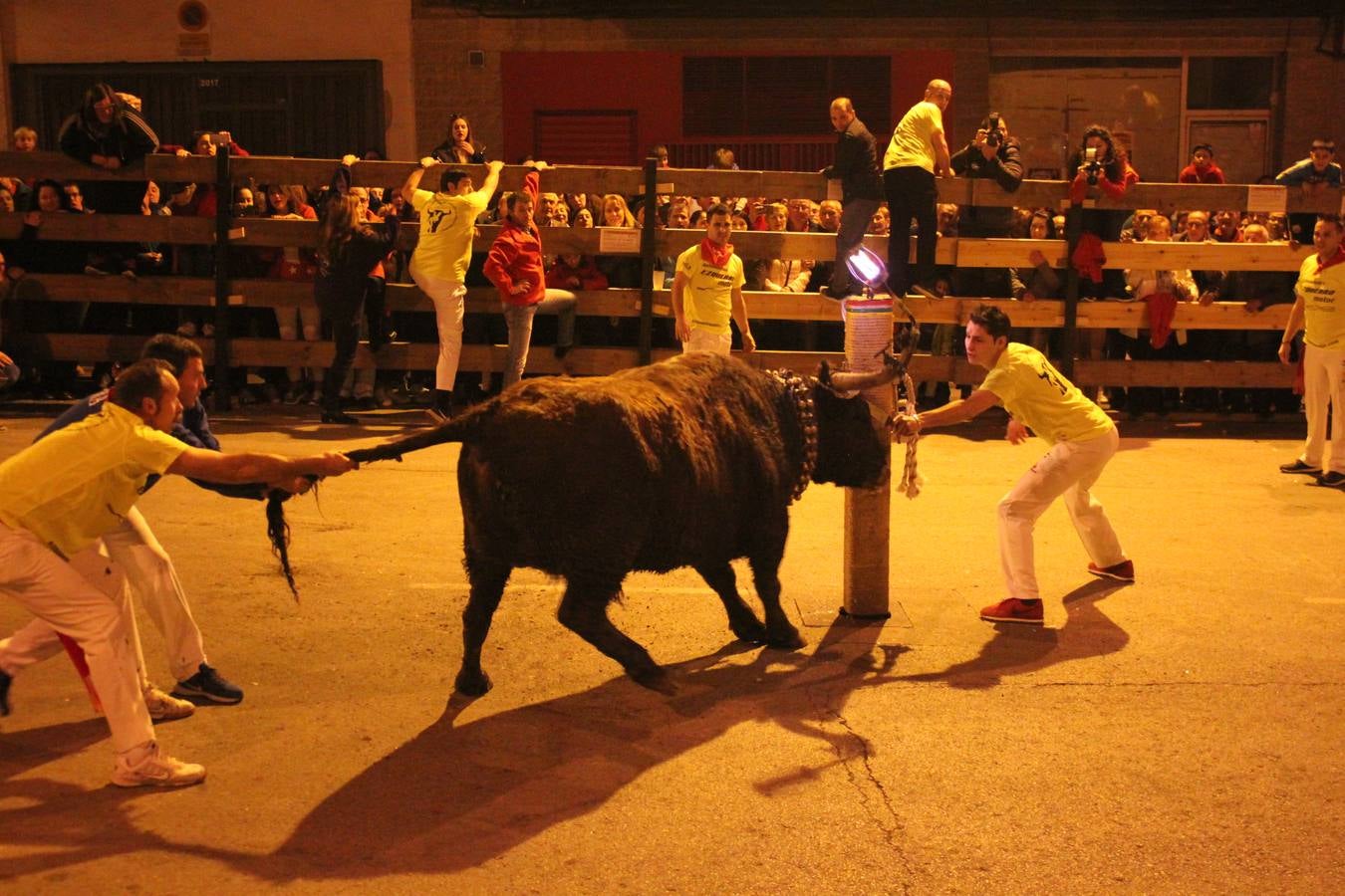 Toro embolao en Arnedo