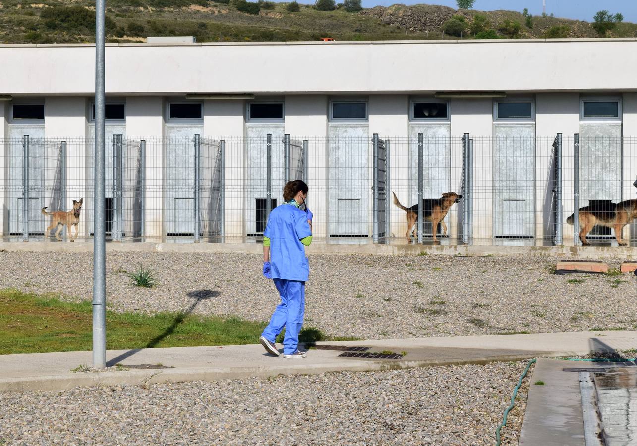 Cincuenta alumnas de Alcaste visitan el Centro de Acogida de Animales Logroño