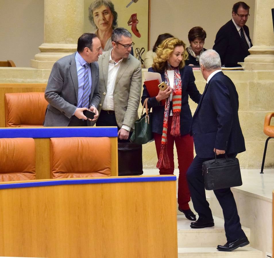 Taurinos, gestos y conversaciones en el pleno del Parlamento riojano