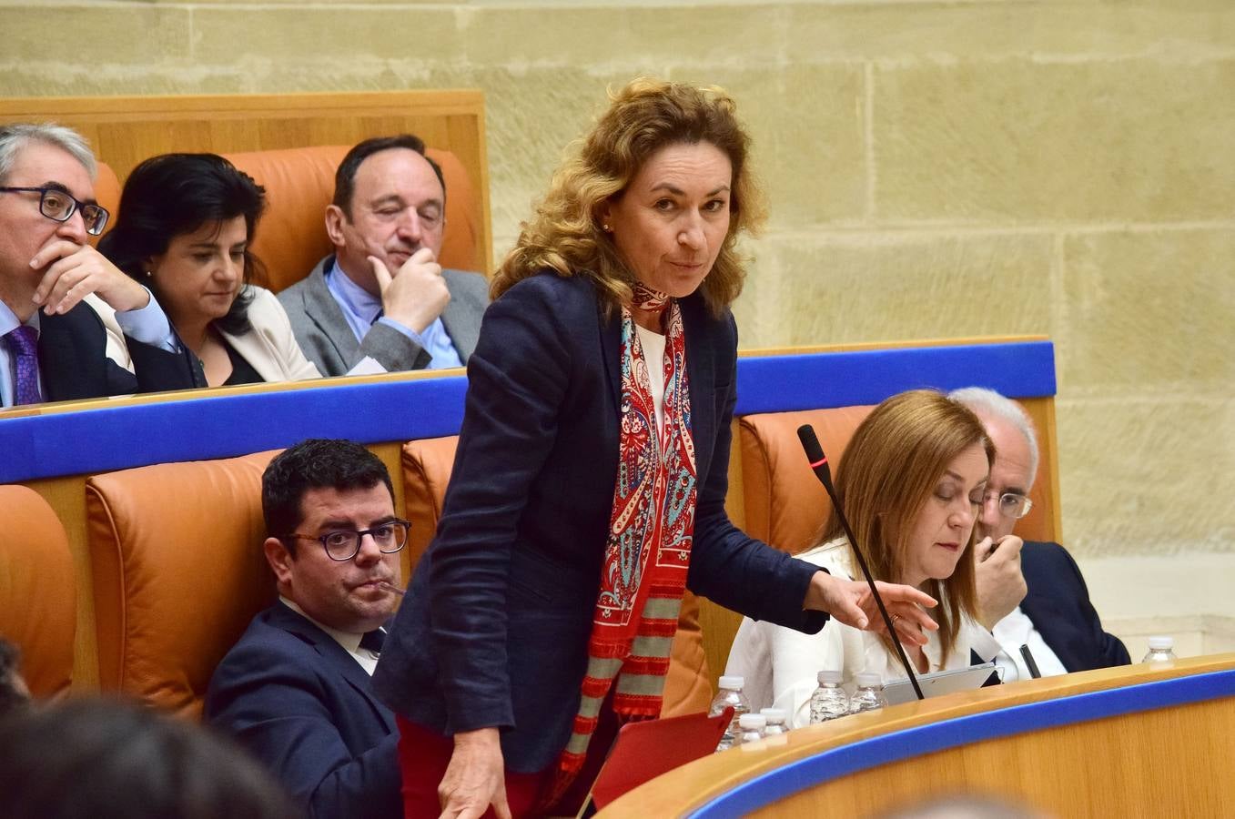 Taurinos, gestos y conversaciones en el pleno del Parlamento riojano