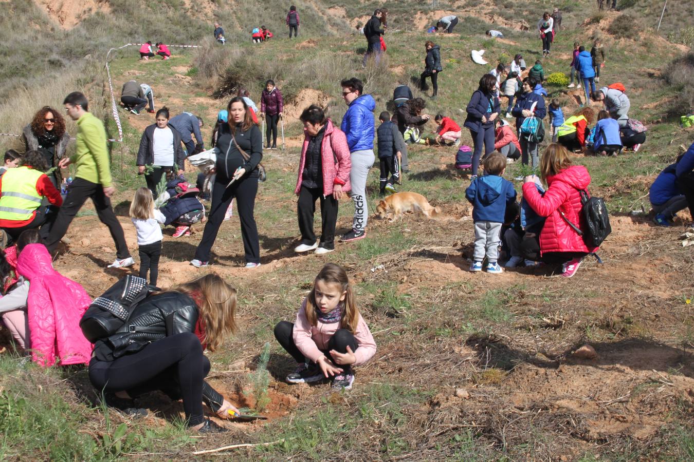 Arnedo celebra la Plantación del Día del Árbol