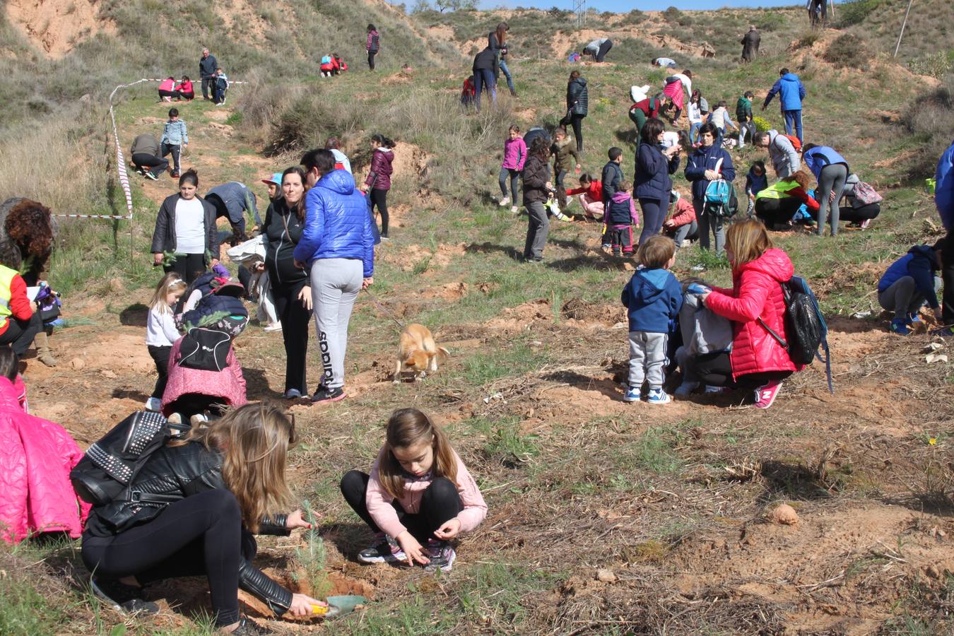 Arnedo celebra la Plantación del Día del Árbol