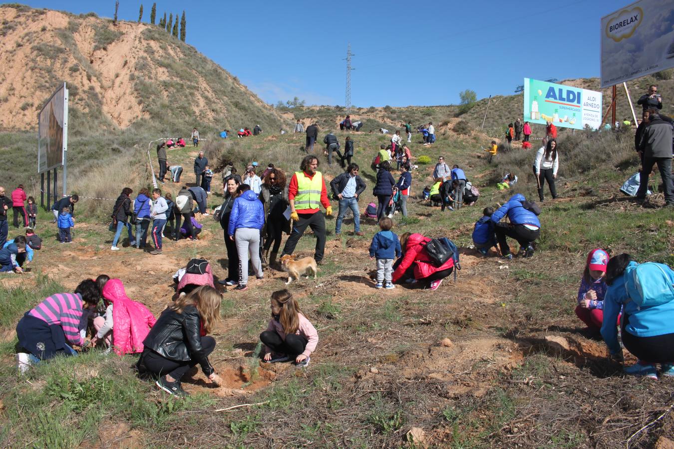 Arnedo celebra la Plantación del Día del Árbol