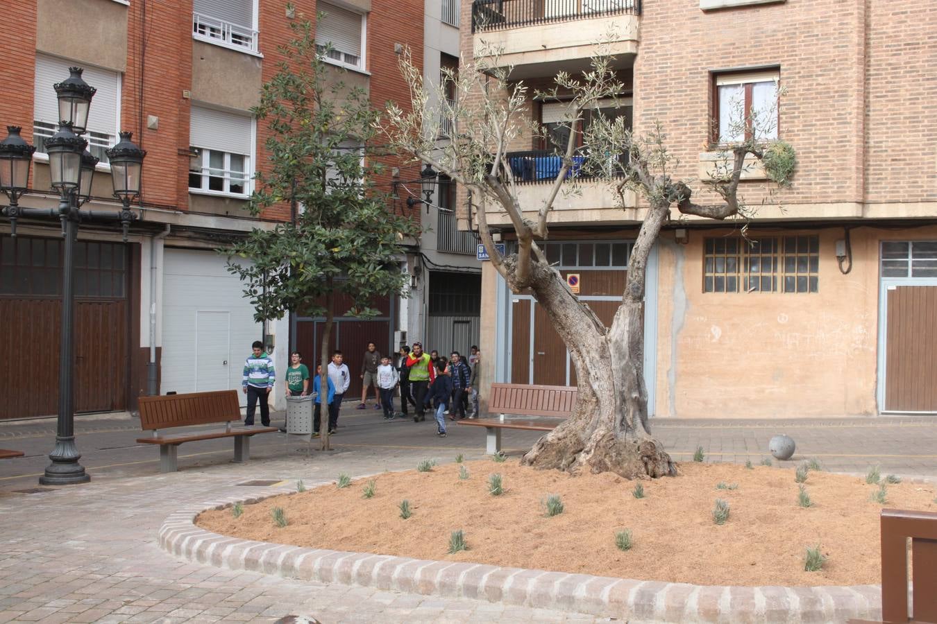 Arnedo celebra la Plantación del Día del Árbol