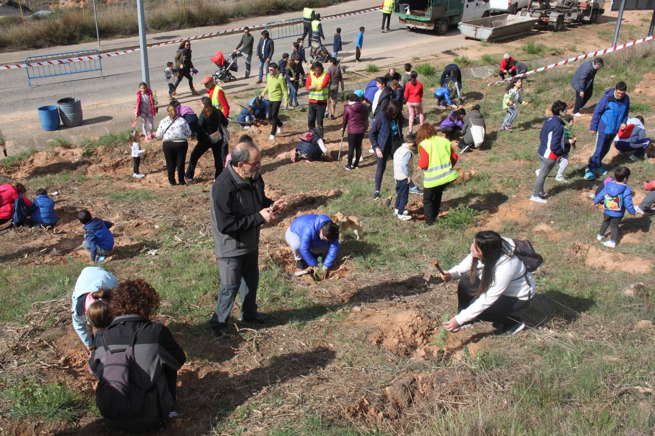 Arnedo celebra la Plantación del Día del Árbol