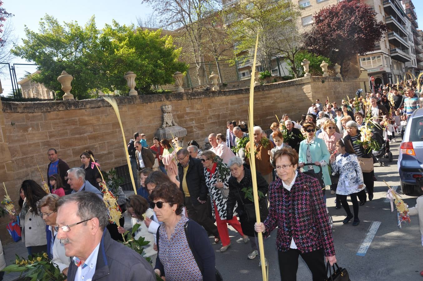 Procesión de la Borriquilla de Haro