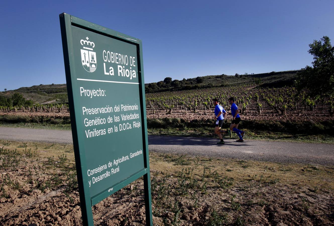Primera etapa de la III Rioja Ultra Trail