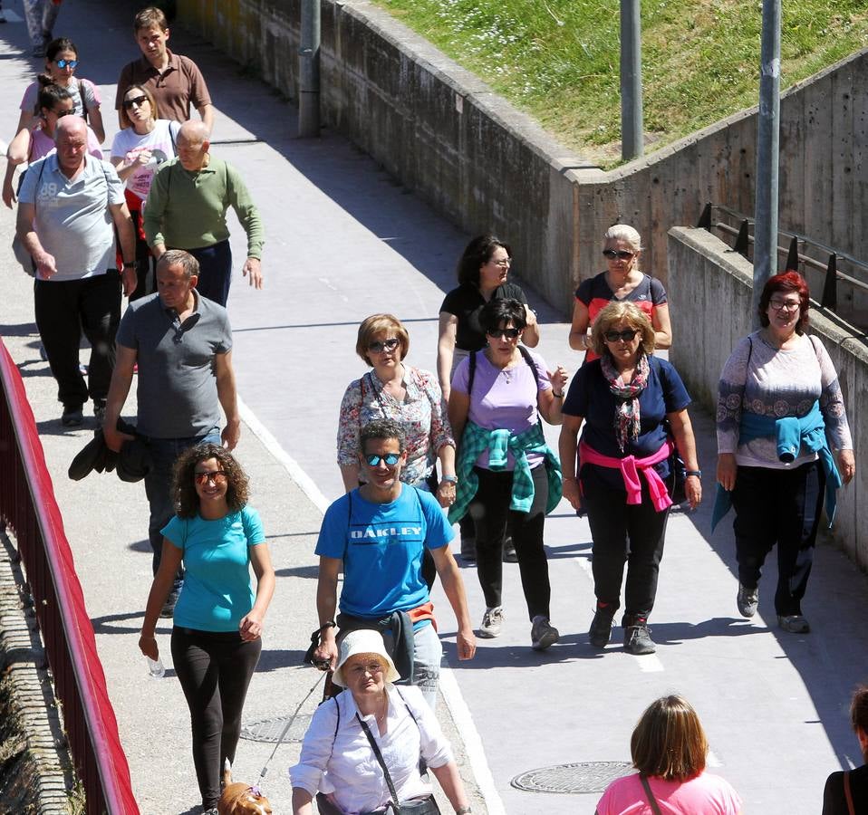 Marcha por los buenos tratos en Logroño