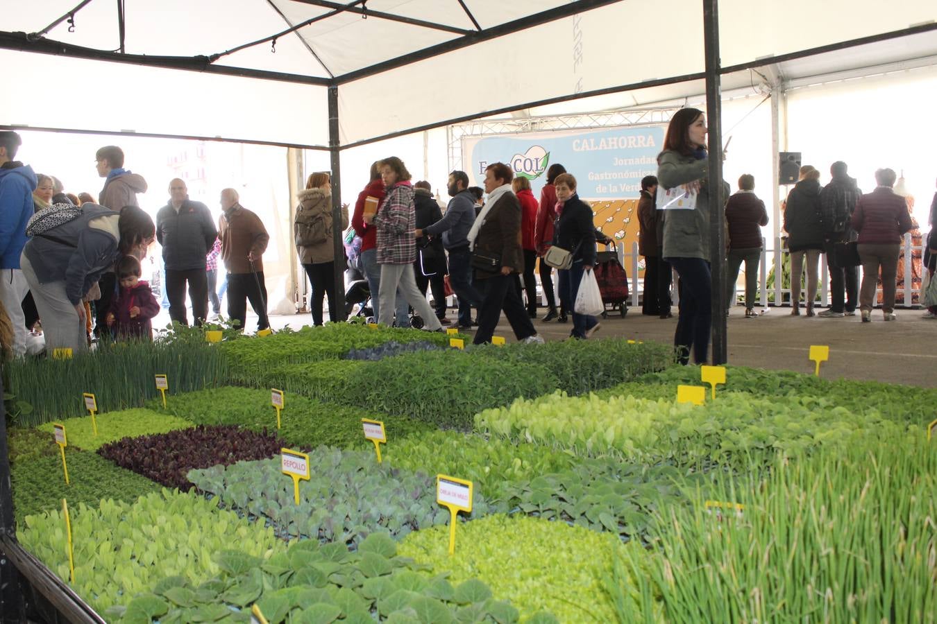 Mercado de la Verdura en Calahorra