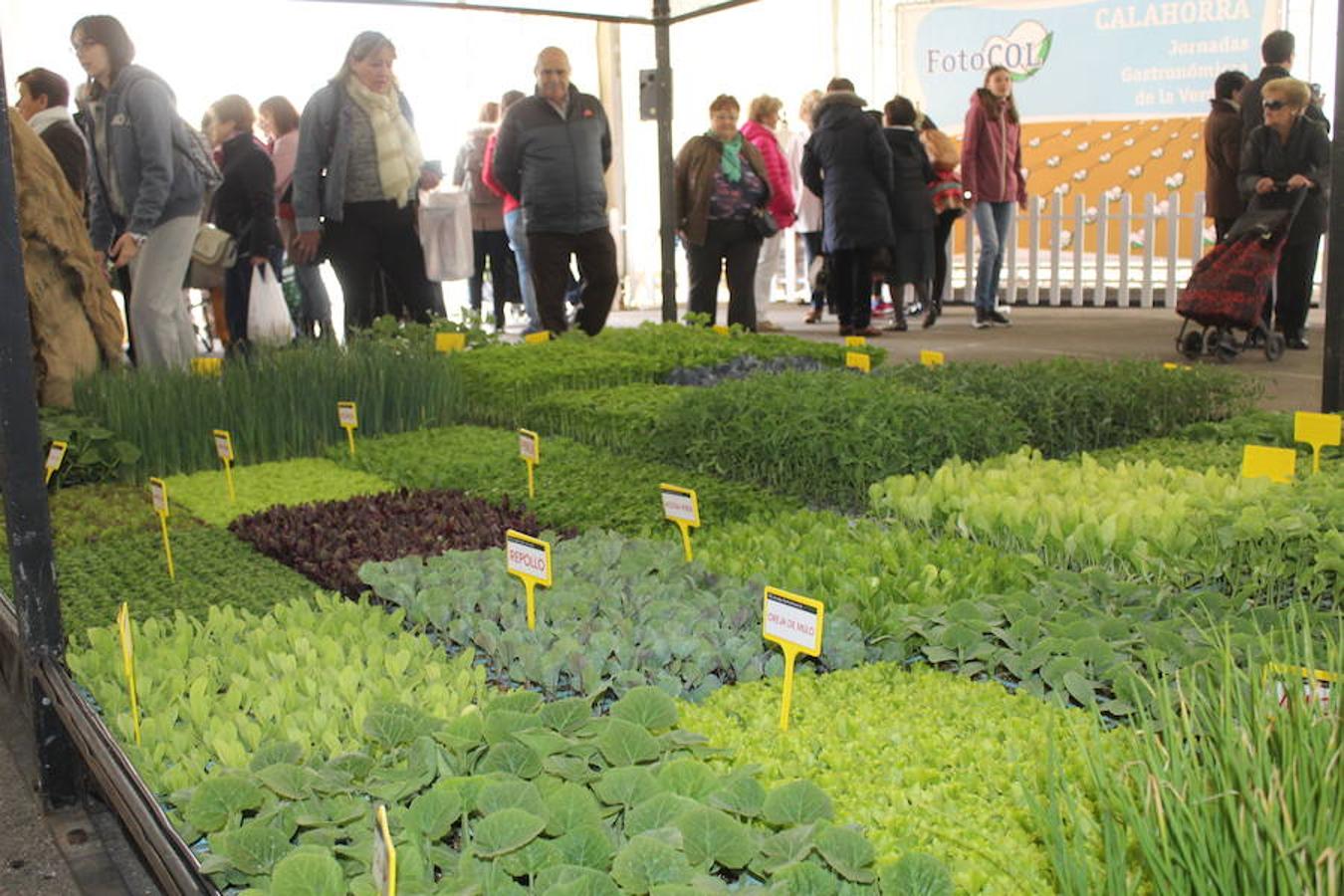 Esplendor verde en Calahorra