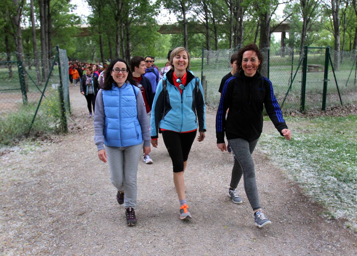 Paseo saludable en Logroño y Villamediana