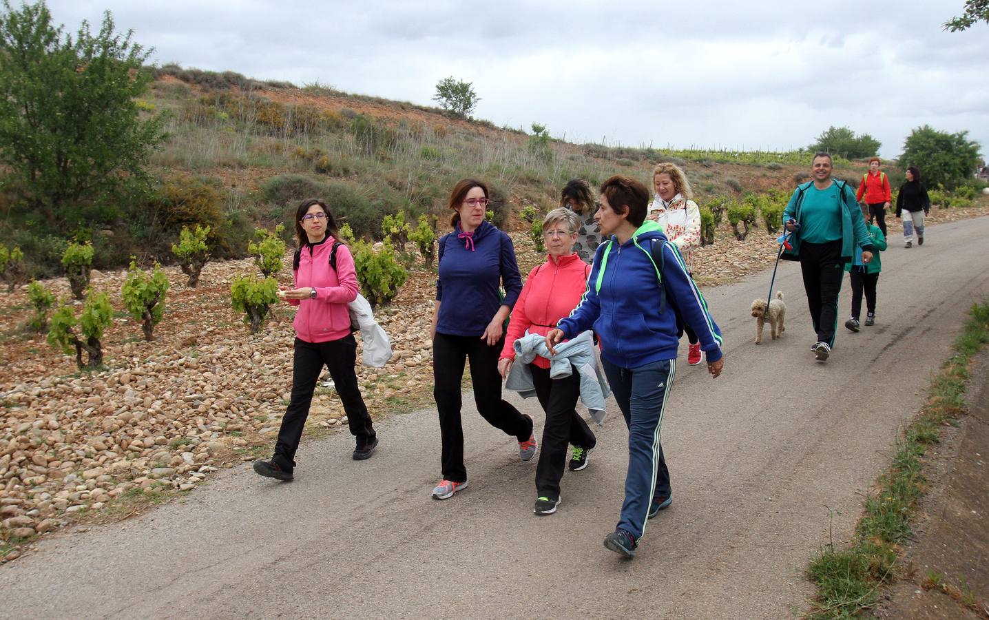 Paseo saludable en Logroño y Villamediana