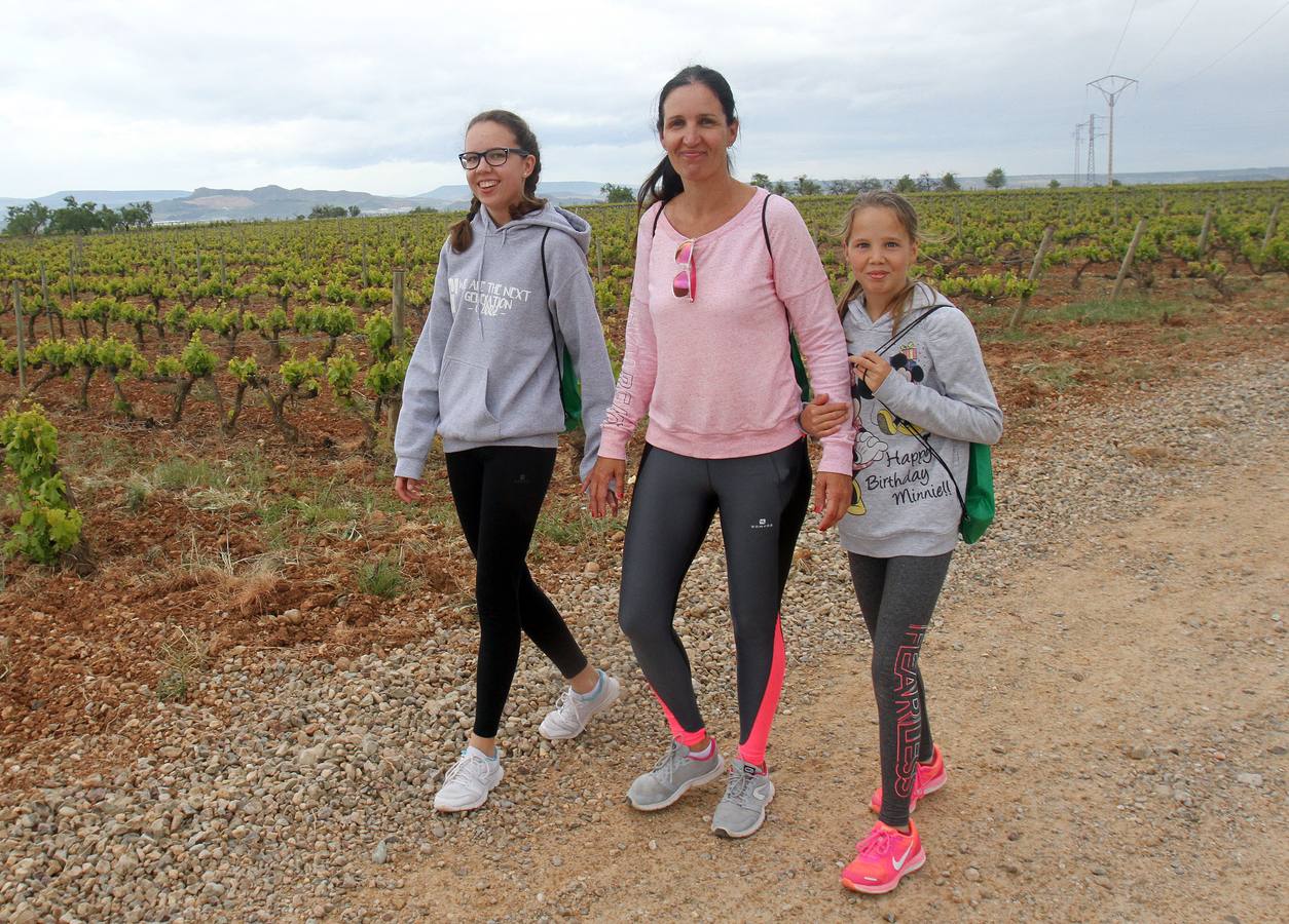 Paseo saludable en Logroño y Villamediana