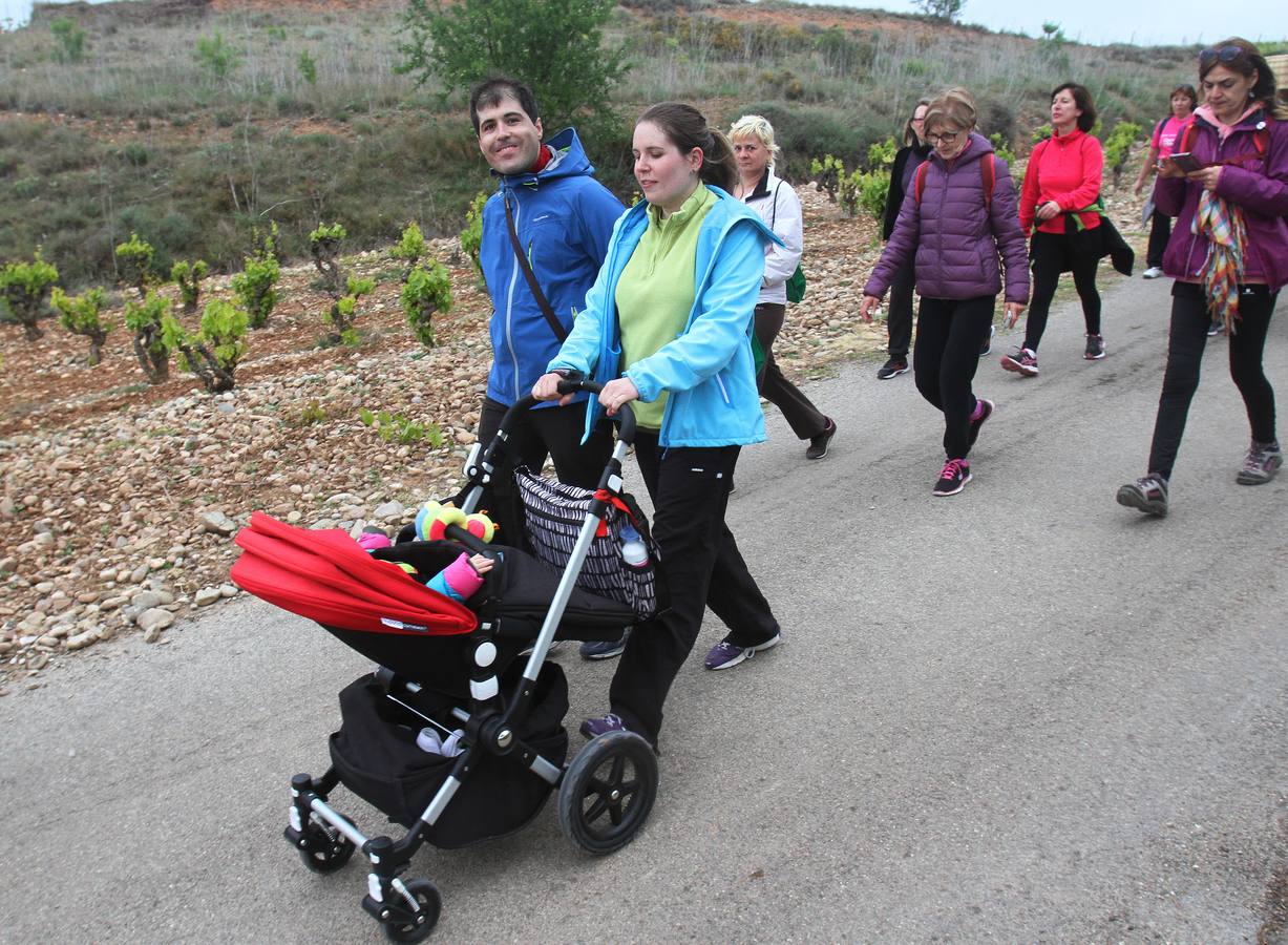 Paseo saludable en Logroño y Villamediana